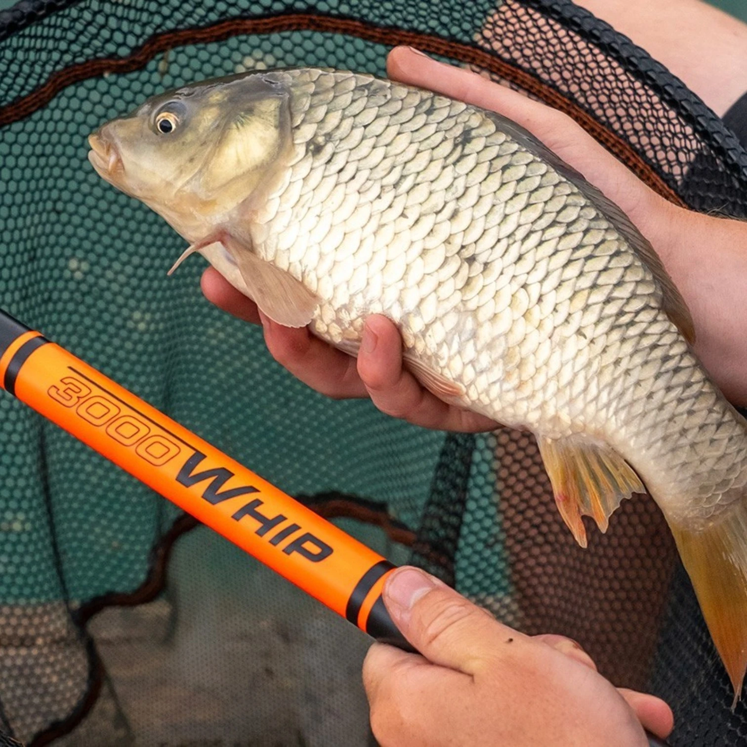 Angler holding a caught fish in one hand and a Guru Elasticated Whip in the other