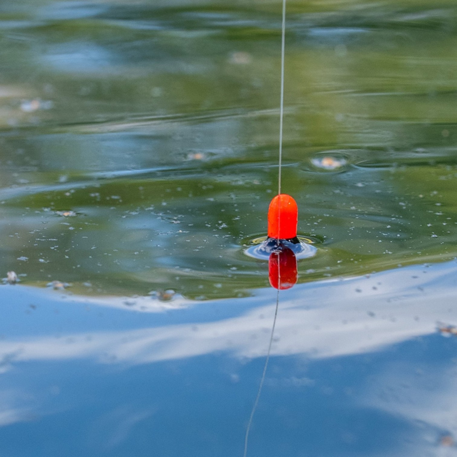 Guru Cookie Wire Pole Float sitting in the water